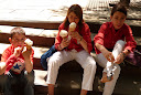 http://lh5.ggpht.com/_PKO_RoJQEZ0/S_0YRZv-1pI/AAAAAAAACzI/0mChJyqFERY/P1040385.JPG