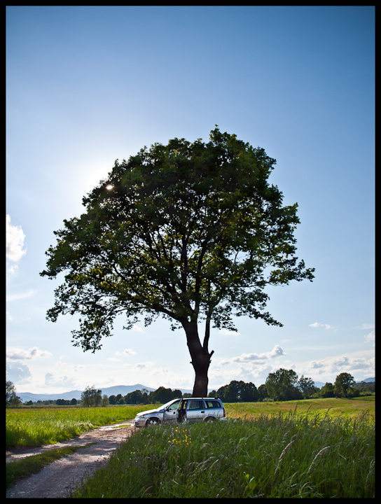 P5141892-Edit-2.jpg