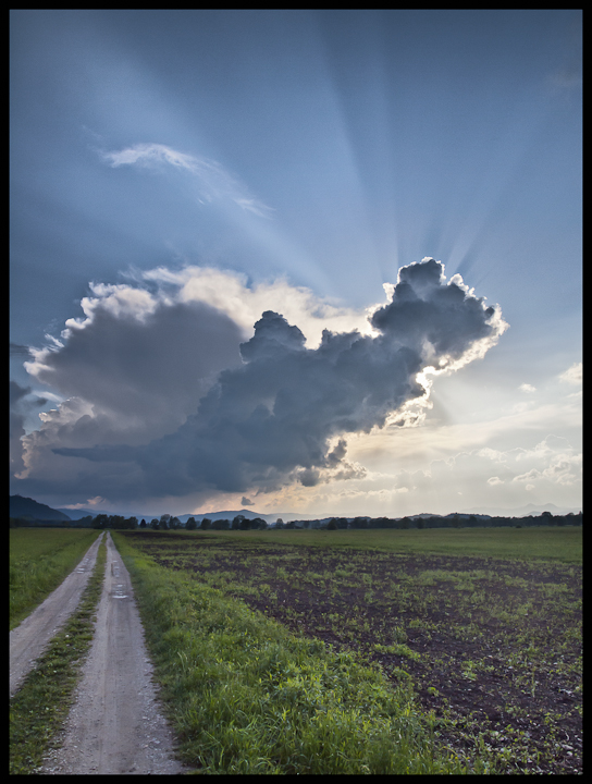 P5121869-Edit.jpg