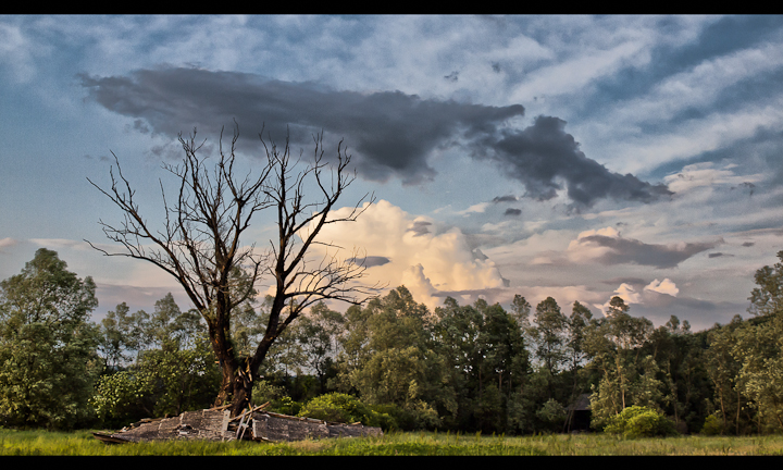 P5272371-new-Edit.jpg