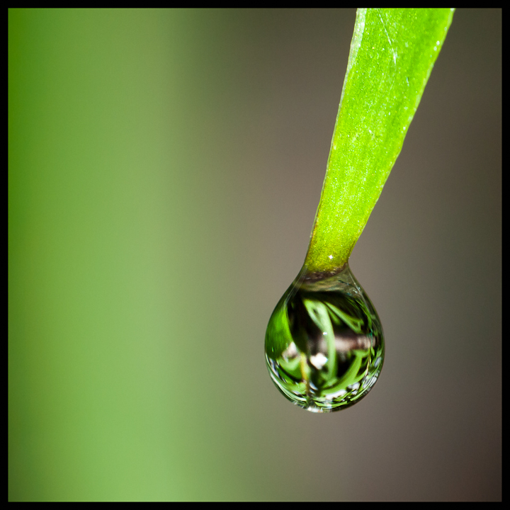 P5302552-Edit-2.jpg