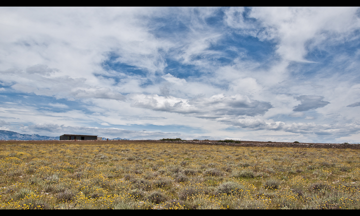 P6233435-Edit.jpg