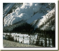 avalanche avalanche