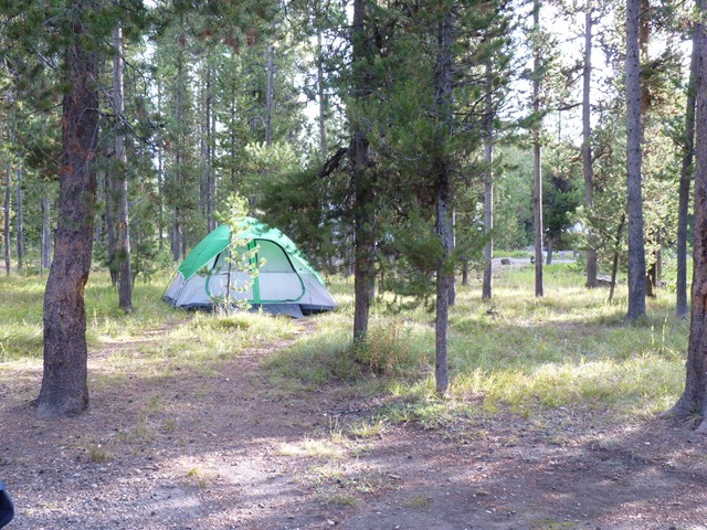 [P1010046[5].jpg]