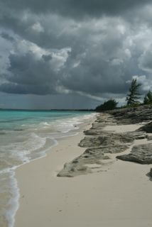 rockbeach.jpg