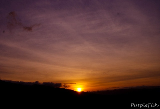 [DSC08302[11].jpg]