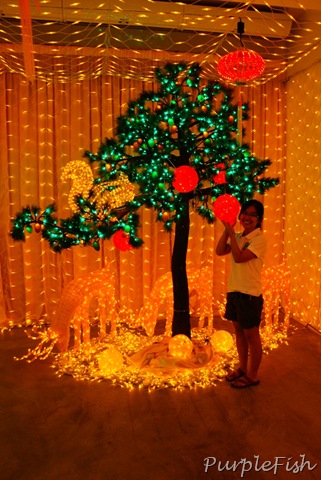 [DSC08724[8].jpg]