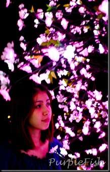 DSC08839