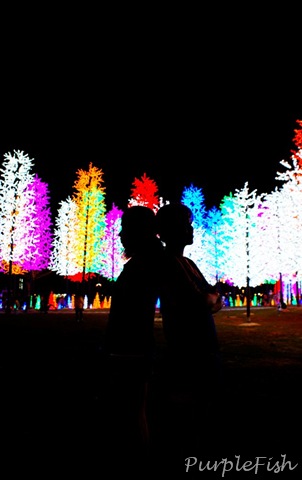 [DSC08885[9].jpg]