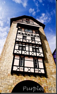 DSC09571