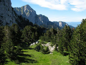113-800.jpg