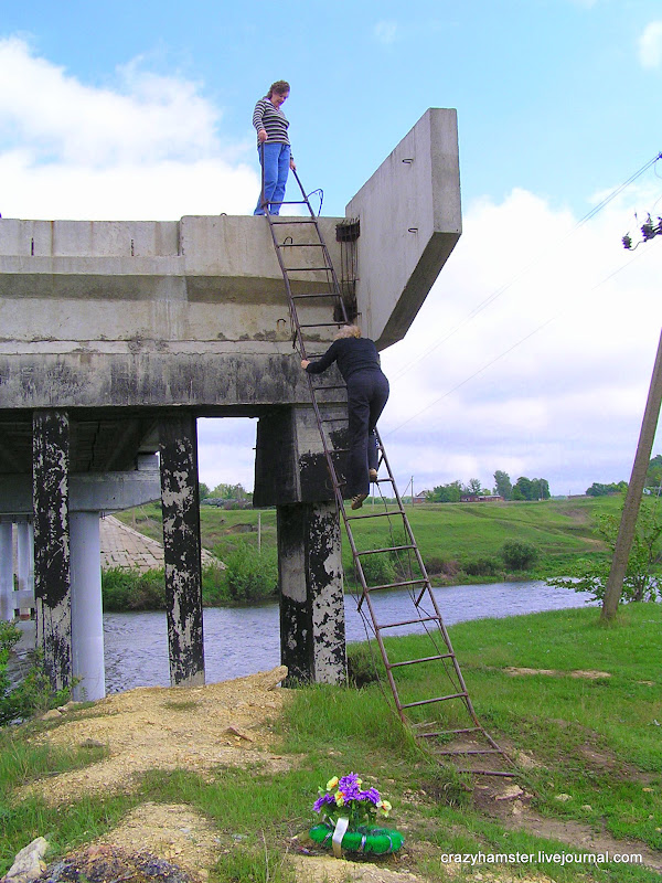 Страна дефективных мостов