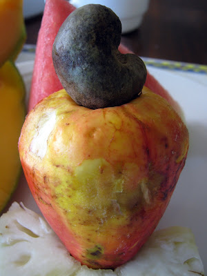 Cashew fruit at the Luzeiros Hotel in Fortaleza