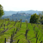 Barolo, Alba, Wine Trip