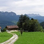 dolpan3.jpg