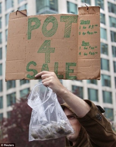 [pot_protesters_in_the_usa_30[4].jpg]