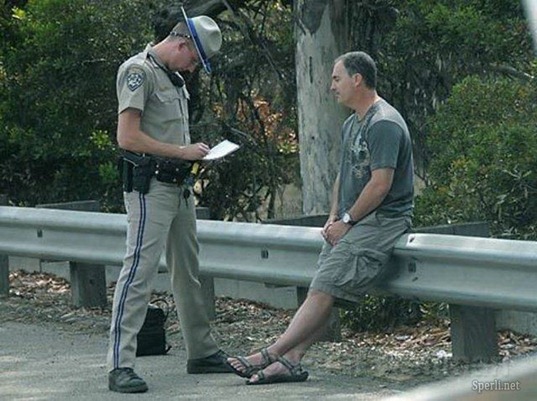 1282081082_foto_sperli_net_7