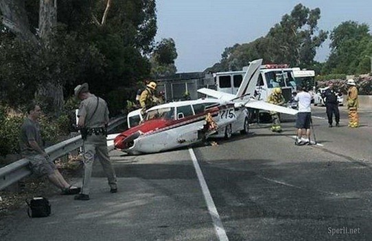 1282081082_foto_sperli_net_1