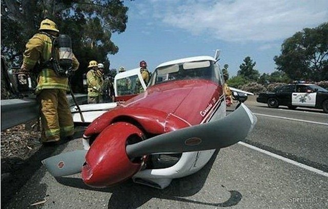 [1282081082_foto_sperli_net_6[4].jpg]