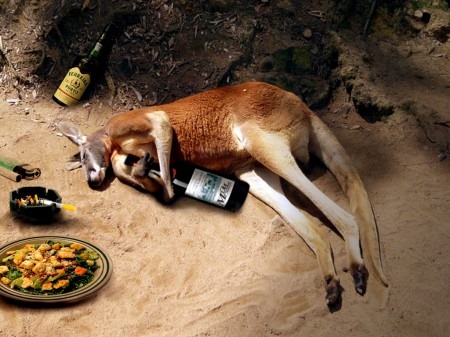 [Funny-Kangaroo-Photoshop-mrm-m2m-450x337[4].jpg]