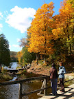 Fall 2009 Slideshow