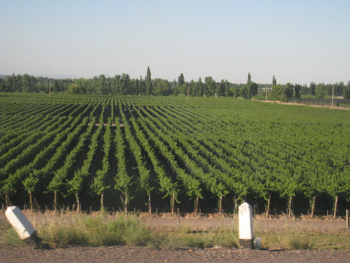 Buenos Aires - Mendoza - Santiago - Viña del Mar - Valparaíso