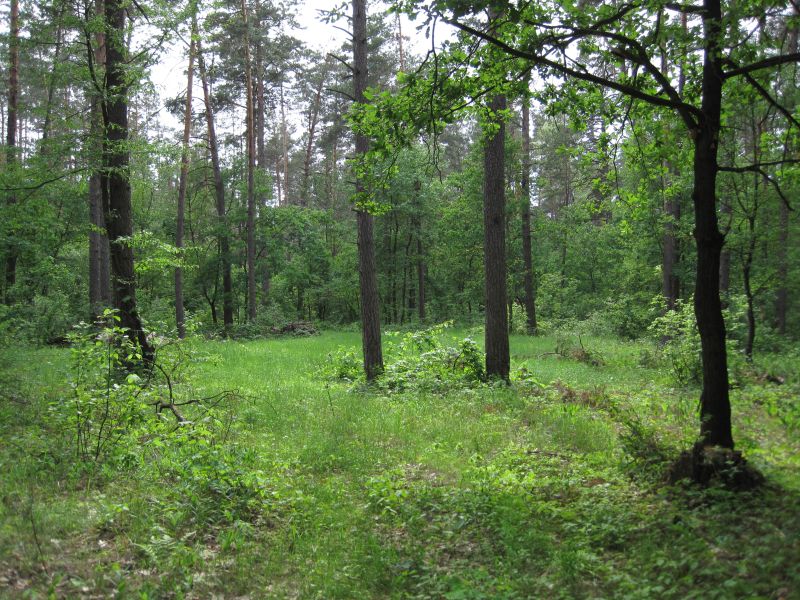 Зображення