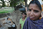 Badgaon, India 023.JPG