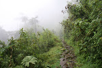 Mules and horses have turned the stones on this ancient paved trail, Gran Vilaya Trek, Chachapoyas Region, Peru