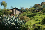 Inca trail to Cumbayo, Peru