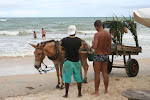 Arraial d'Ajuda 018.JPG