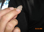 DSCN0043.JPG