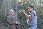A shepherd selling eucalyptus oil, on the road from Tabarka to Ain Draham, Tunisia