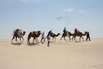 Sahara Tunisia_2009.04.06 318.JPG
