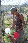 Wolf preserve, outside Antequera, Spain