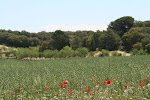 Alhama de Granada, Spain 226.JPG