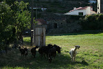 Sao Joao 276.JPG