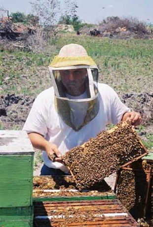 [Beekeeper[2].jpg]