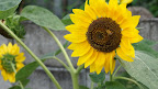 DSC01069.JPG