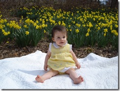 Daffodil_0015