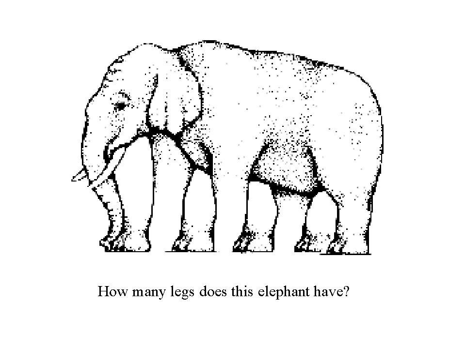 [ElephantLegs[3].jpg]