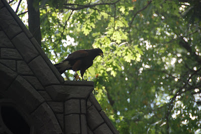 Michigan Renaissance Fair