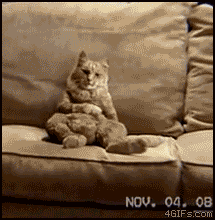 Couch_cat_dances