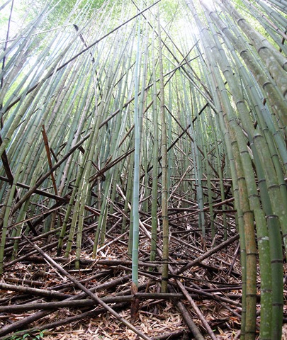 [Panorama 15[2].jpg]