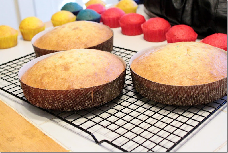 cakes 010 cakes 010