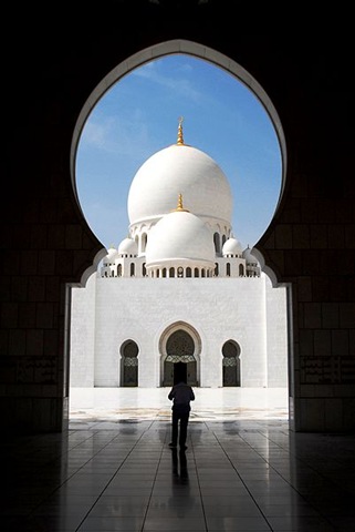 [401px-BoyetDamotPhotography_Zayed_Grand_Mosque[2].jpg]