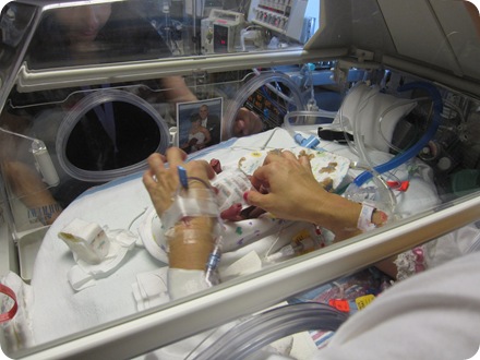 baby 132 baby 132