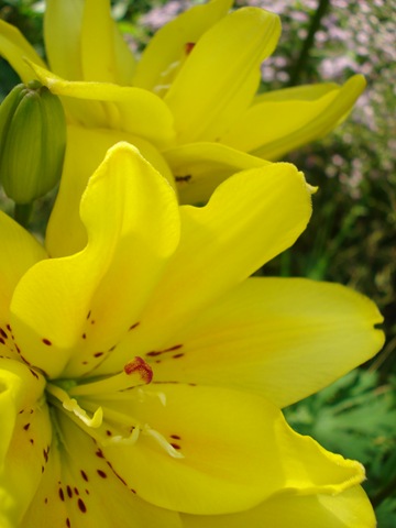 [DSC05894[3].jpg]