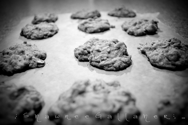 [Cookies[3].jpg]