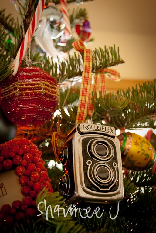 [my ornament[4].jpg]